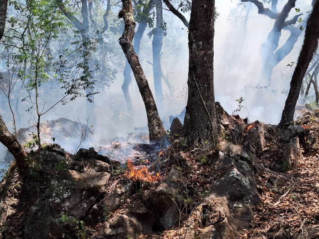 Fuego en Sierra de San Ciro de Acosta: Piden Ayuda Urgente