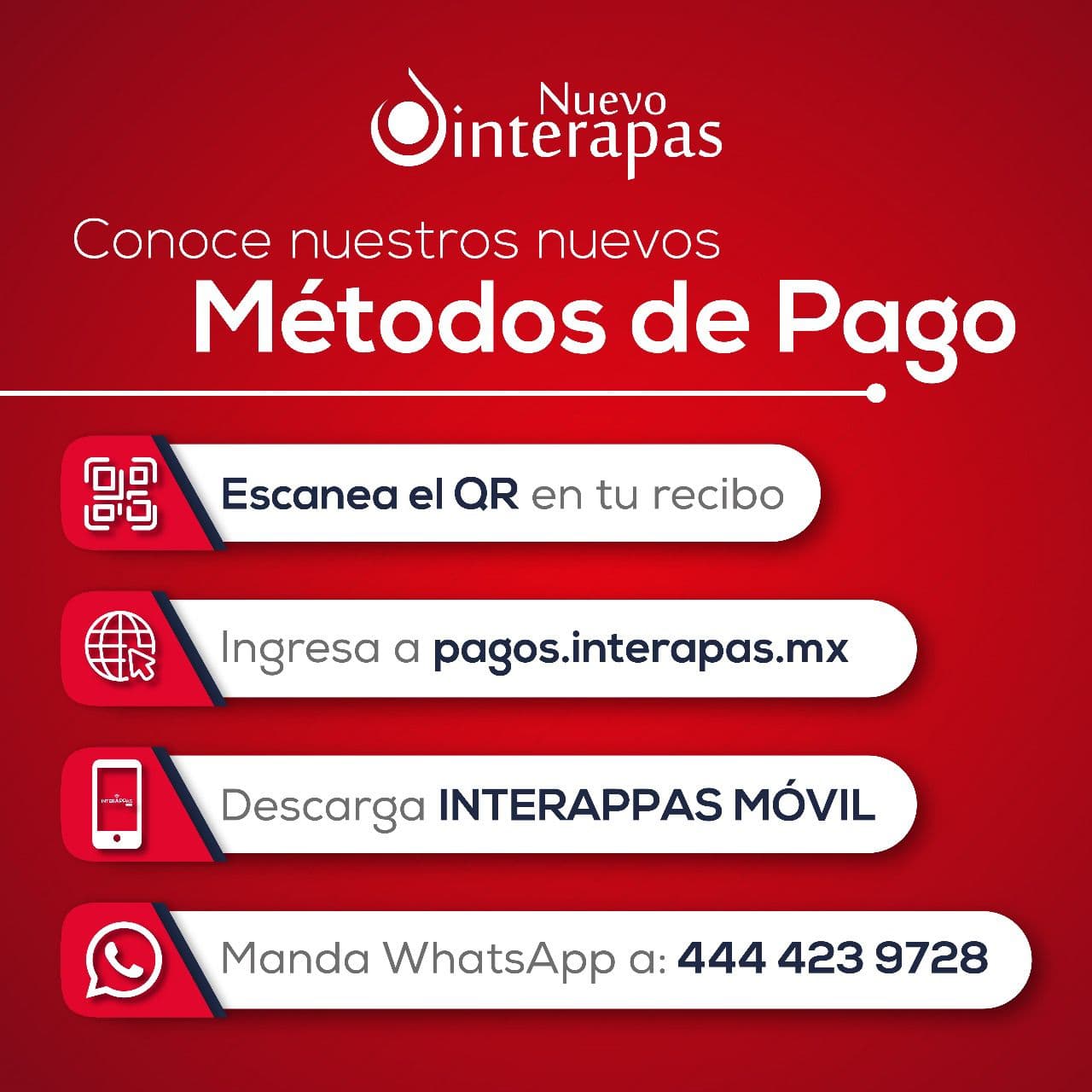 Aplicación de Interapas para pago de agua alcanza las 28 mil descargas