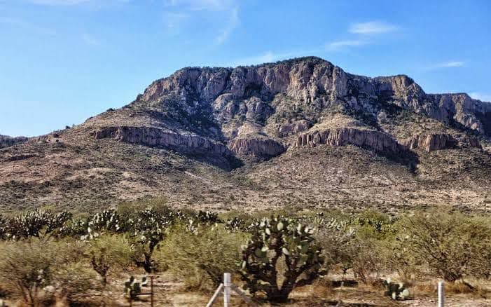 Unen esfuerzos para reforestar Sierra de San Miguelito