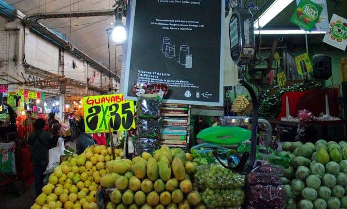 Plagas proliferan en San Luis Potosí por altas temperaturas