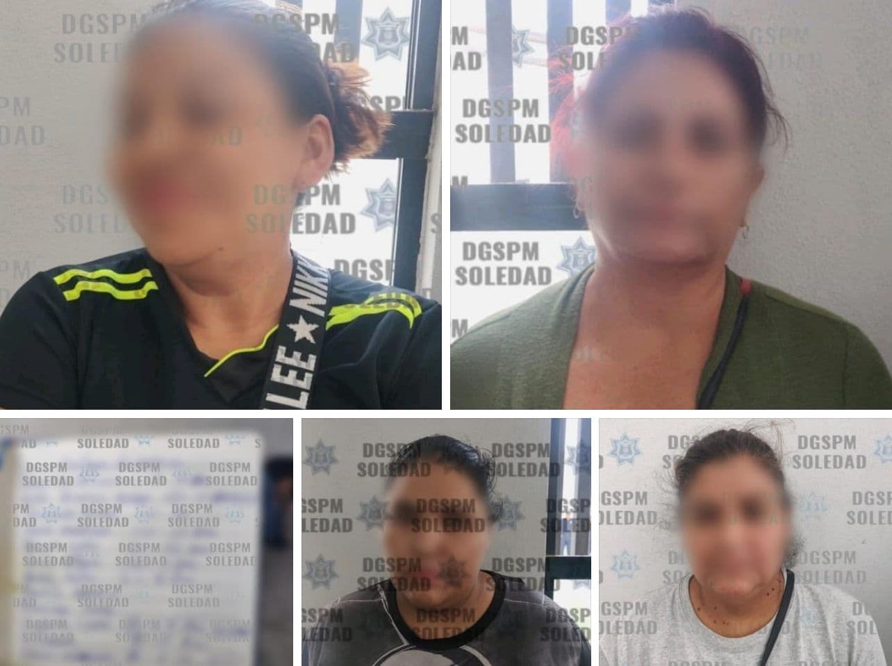 Ante Fiscalía 4 personas detenidas por posible mapacheo en Soledad