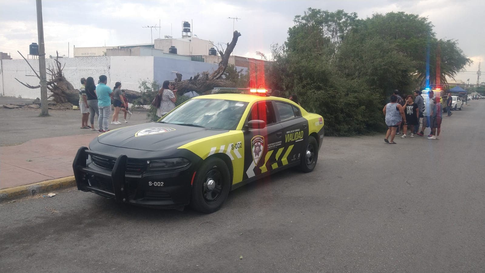 Provocan apagones y caídas de arboles fuertes vientos en la capital