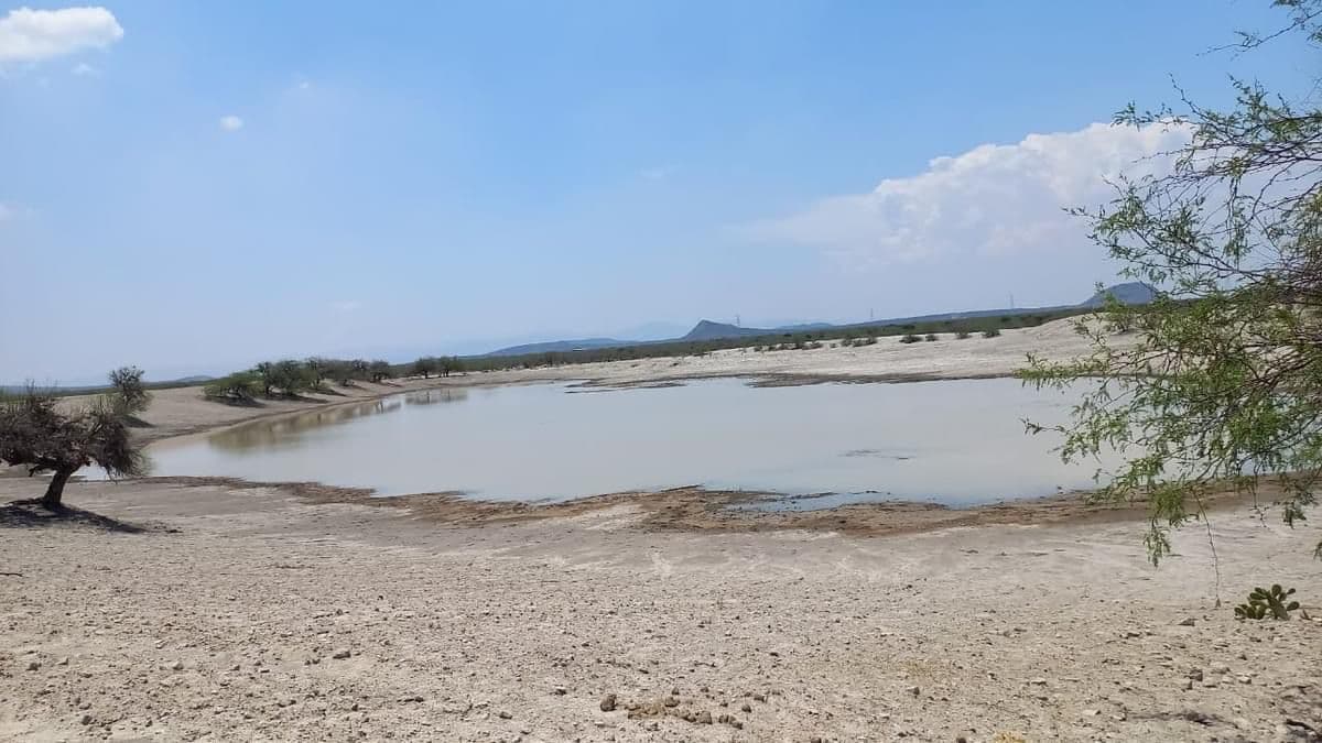 Afrontan crisis de agua en comunidades rurales con nuevos abrevaderos