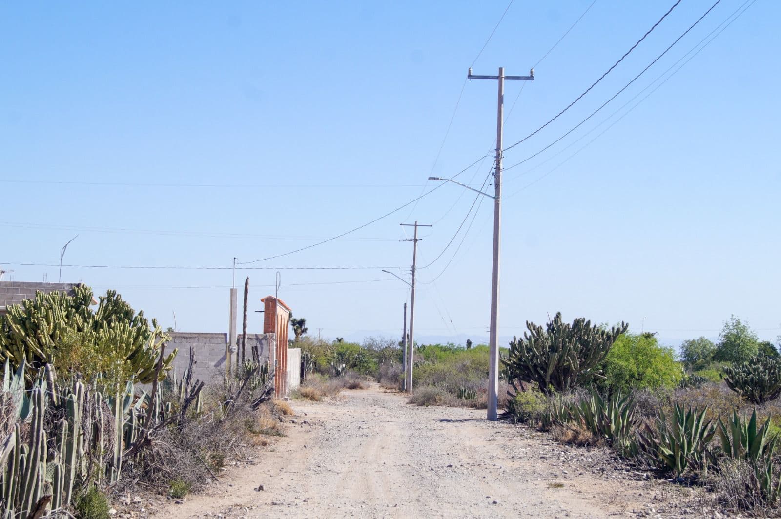 Ayuntamiento de SLP habilita espacios seguros en delegaciones
