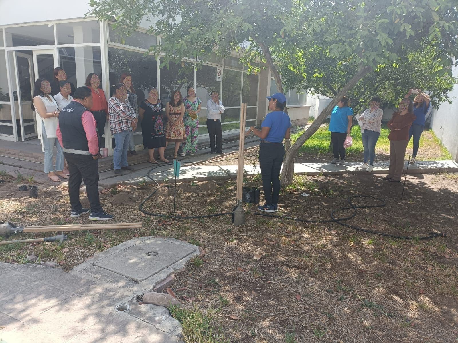 Trabajan ayuntamiento e instituciones reforestando en el día del medio ambiente