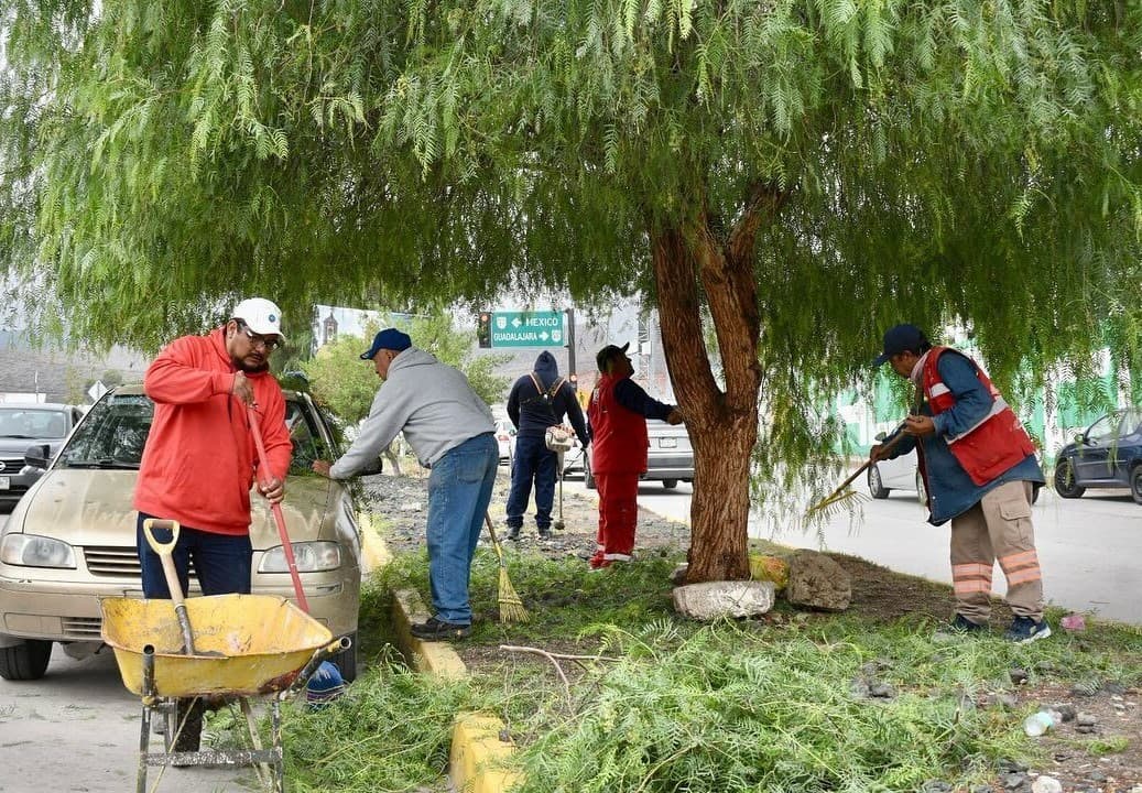 Mejora ayuntamiento aspecto de camellones y áreas comunes de la capital