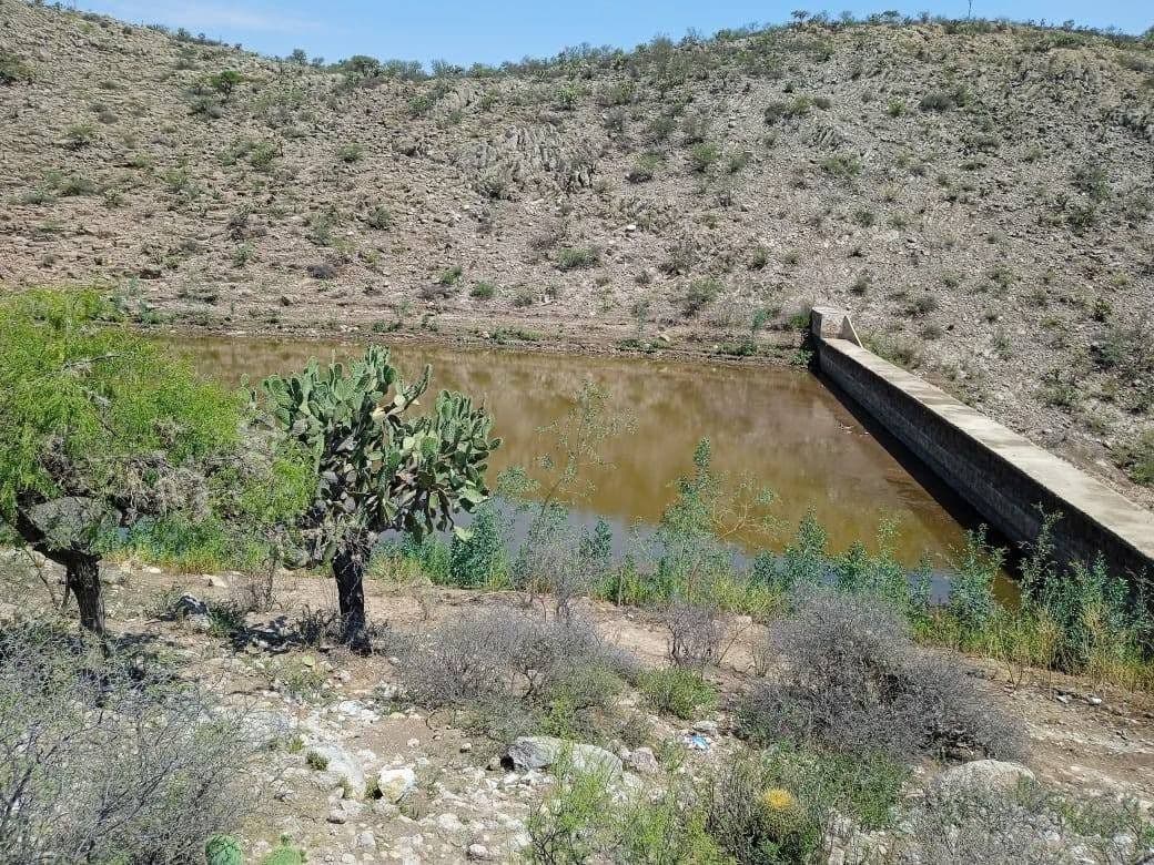 Recuperan agua las presas potosinas después de lluvias