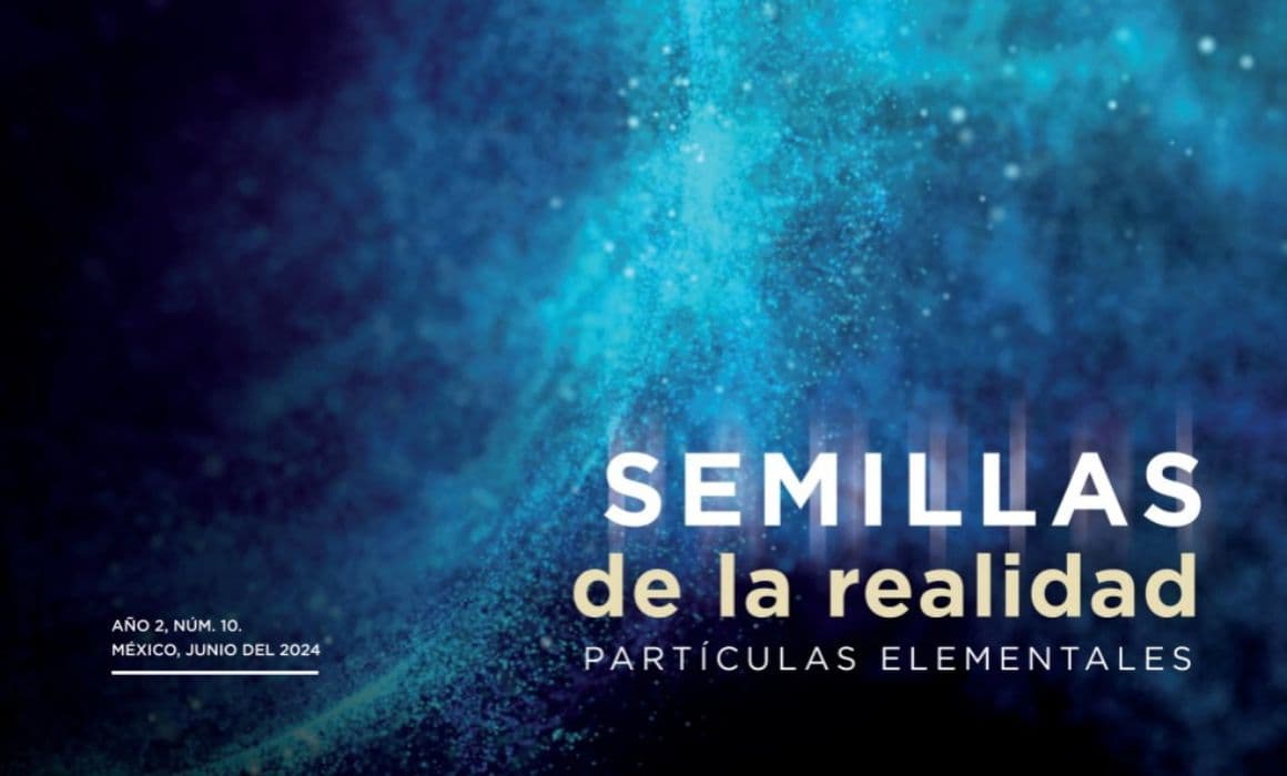 Semillas de la realidad: el camino de las partículas elementales