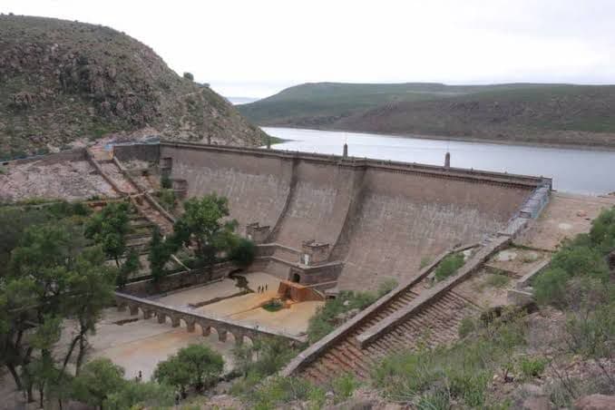 Implementan proyecto para erradicar lirio acuático de la presa San José