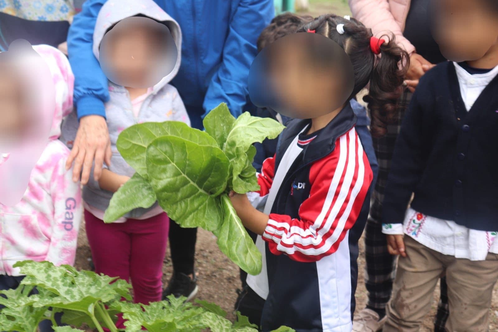 Cosechan niños sus propios alimentos en huerto escolar
