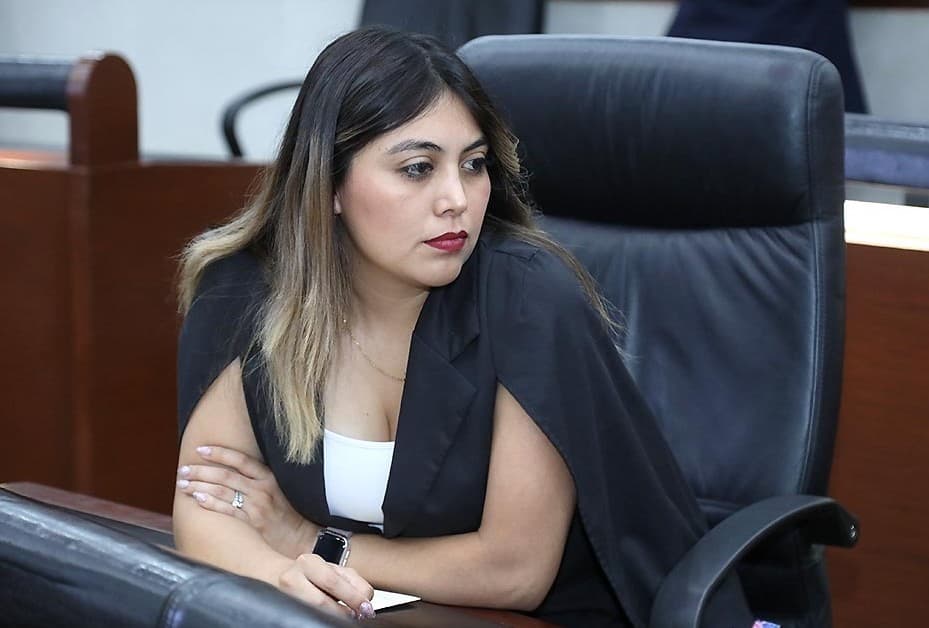 Propone diputada iniciativa para evitar que deudores alimentarios evadan responsabilidades