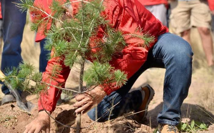 Se recuperan áreas verdes tras lluvias en la capital potosina