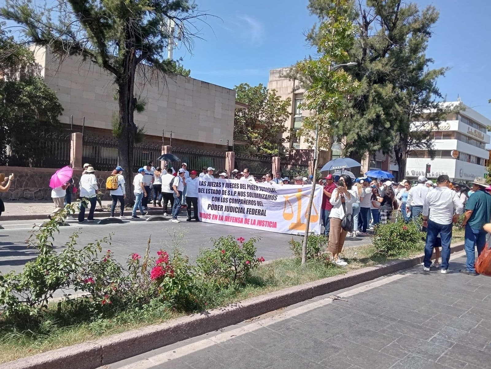 Hacen eco potosinos a protesta nacional contra reforma judicial