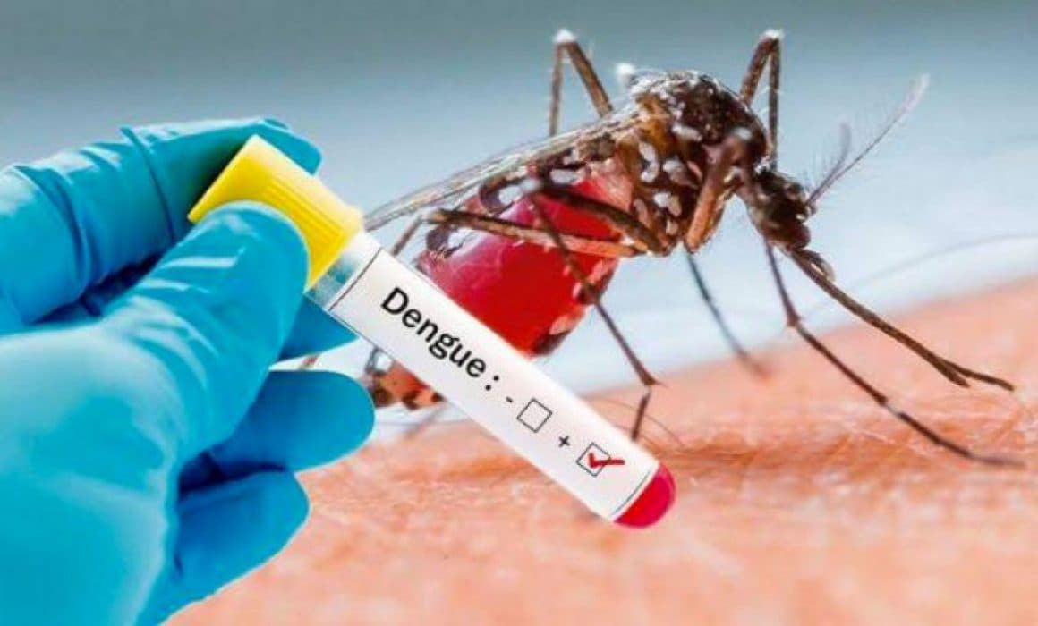 Ante sospecha de dengue, importante a acudir al médico