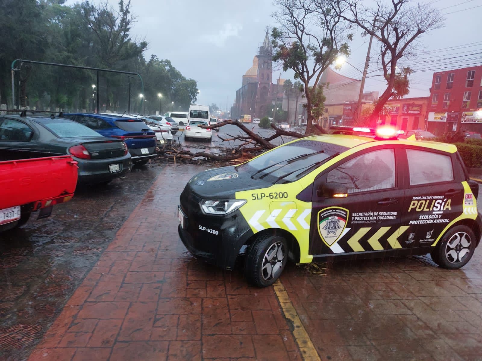 Operativo Tláloc se activa ante lluvias intensas en SLP