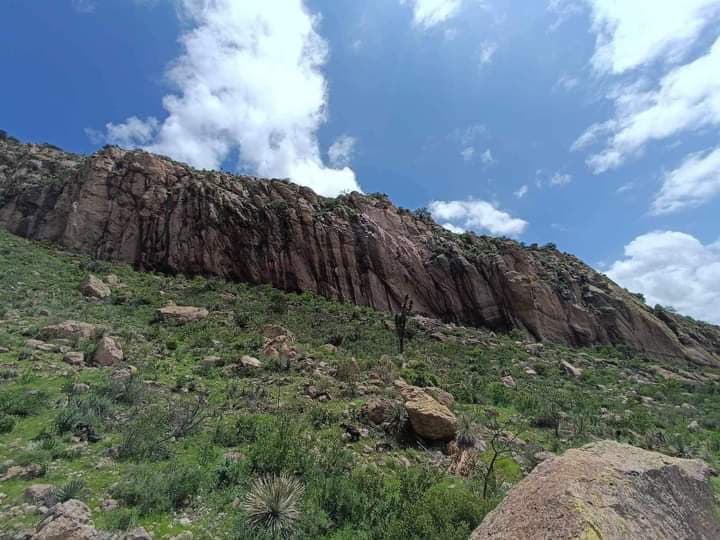 Ciudadanos y Guardianes de la Sierra preparan reforestación de San Miguelito