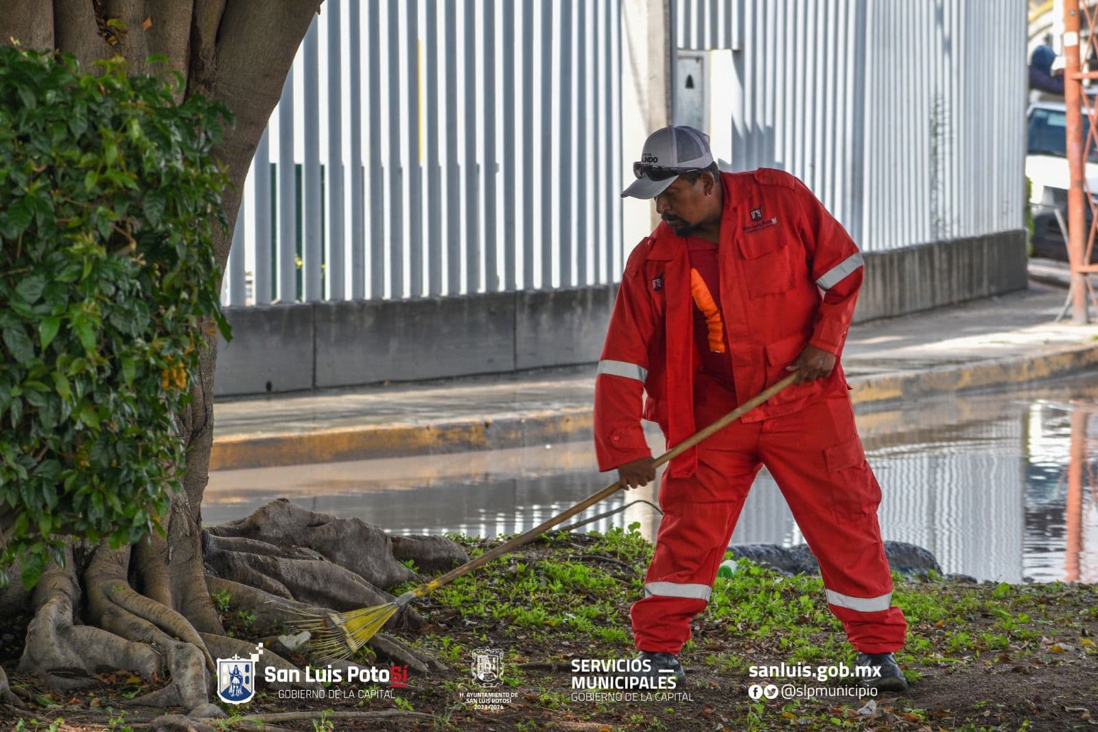 Ayuntamiento intensifica limpieza y mantenimiento en San Luis Capital