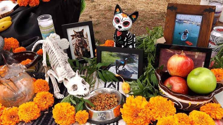 Ofrendas para mascotas: una tradición que crece en el Día de Muertos