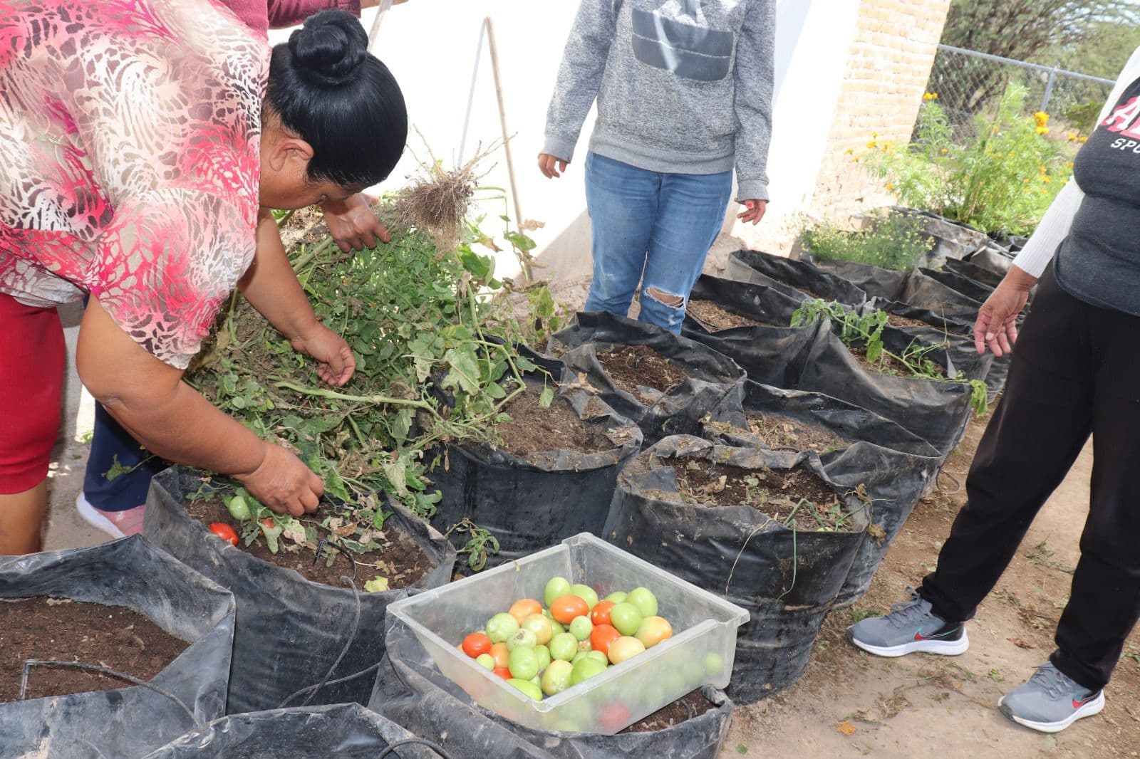 DIF Capitalino refuerza el bienestar alimentario en el Día Mundial de la Alimentación
