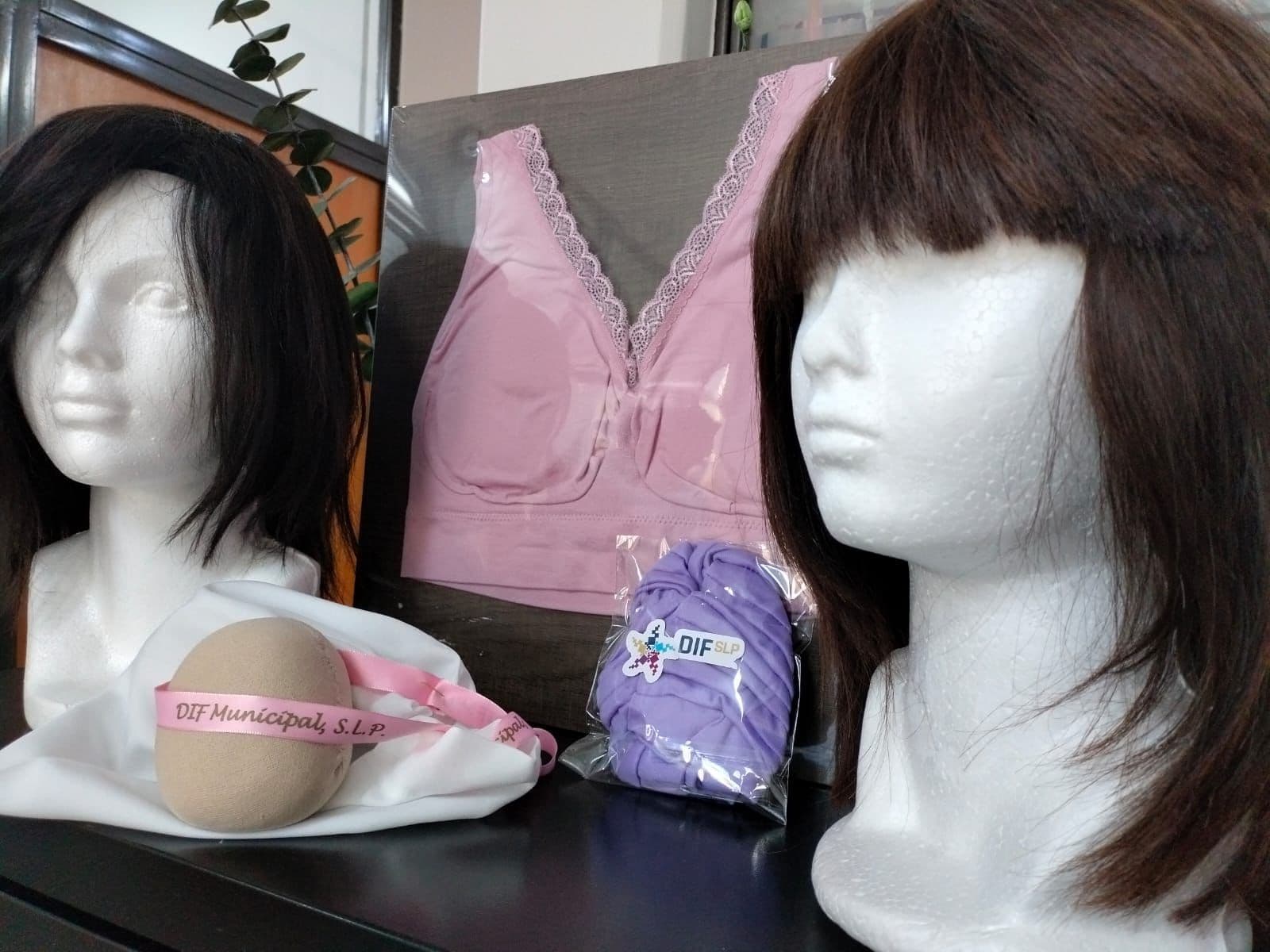 Ofrece DIF de SLP capital apoyos gratuitos para mujeres con cáncer de mama