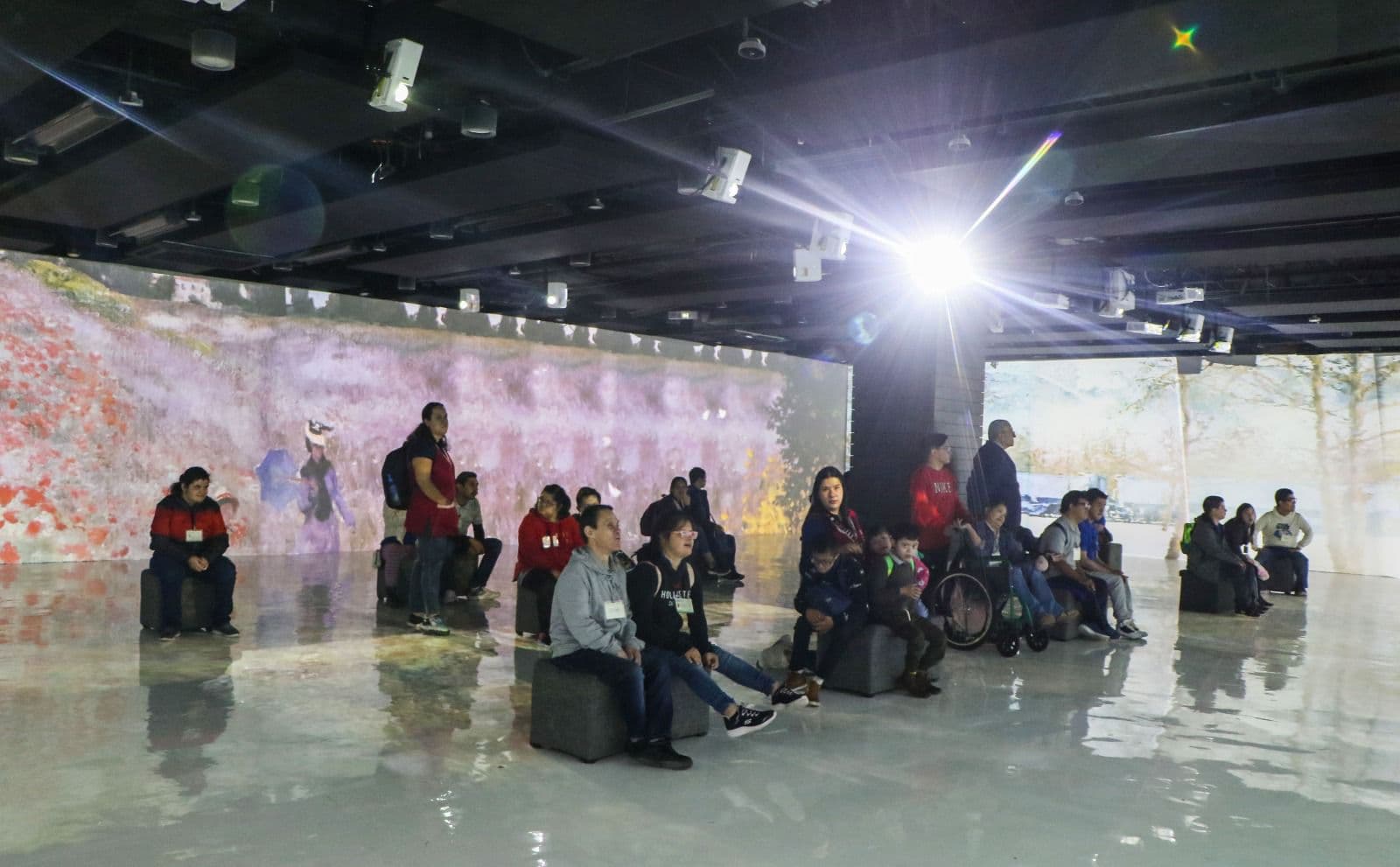 Organiza Cultura Municipal de SLP visita de niños Down a Monet Impressions
