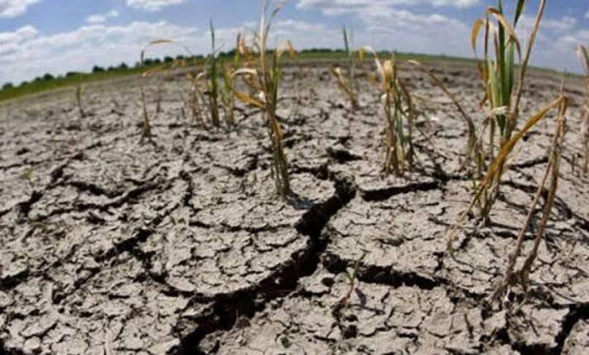 Pese a lluvias, 16 municipios de San Luis Potosí están en sequía