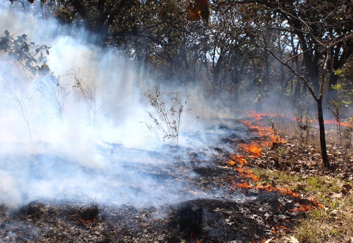 Ubican a la entidad en primer lugar nacional en daños por incendios