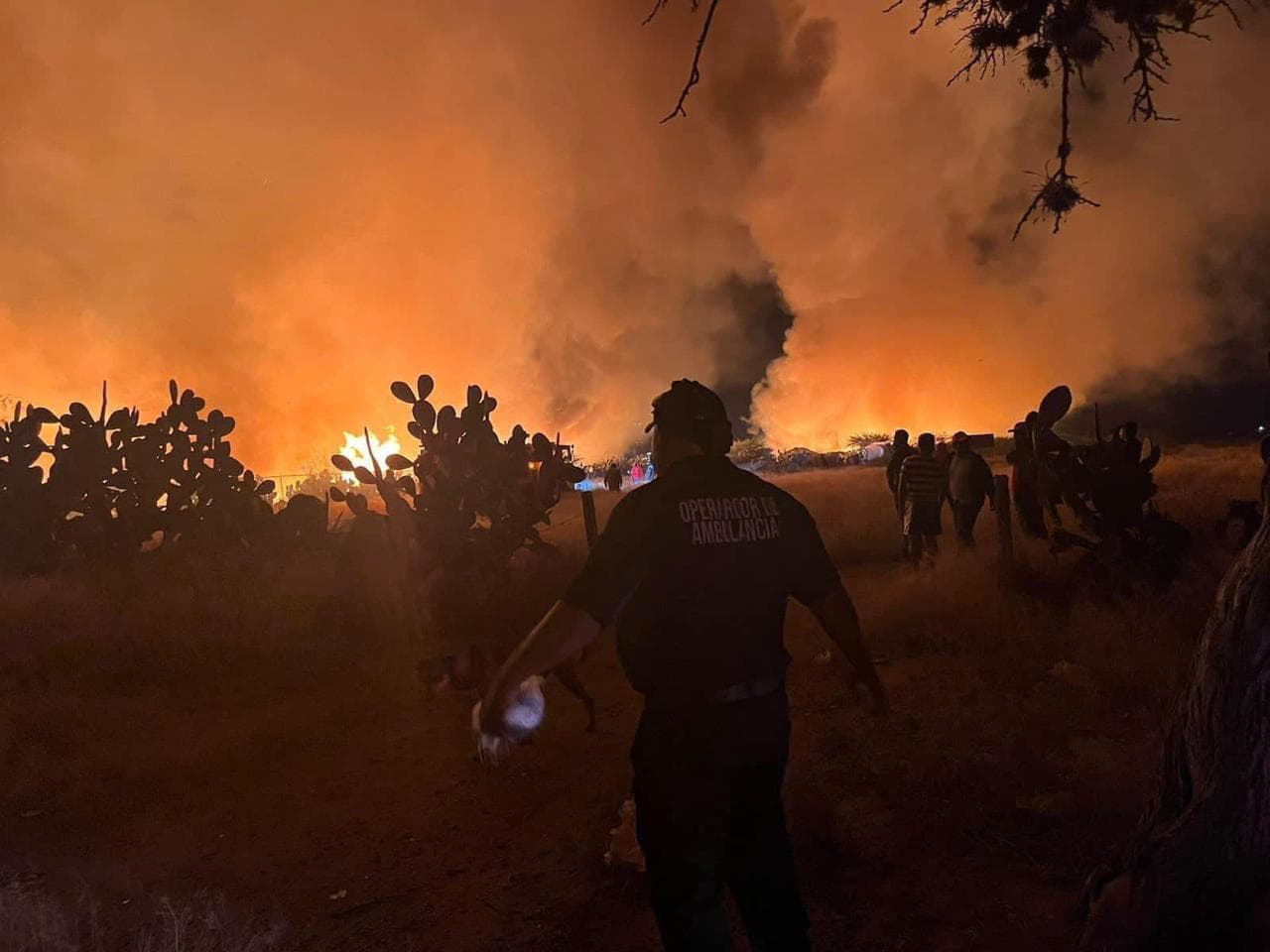 Incendio en basurero de Villa de Reyes fue provocado: presidente municipal