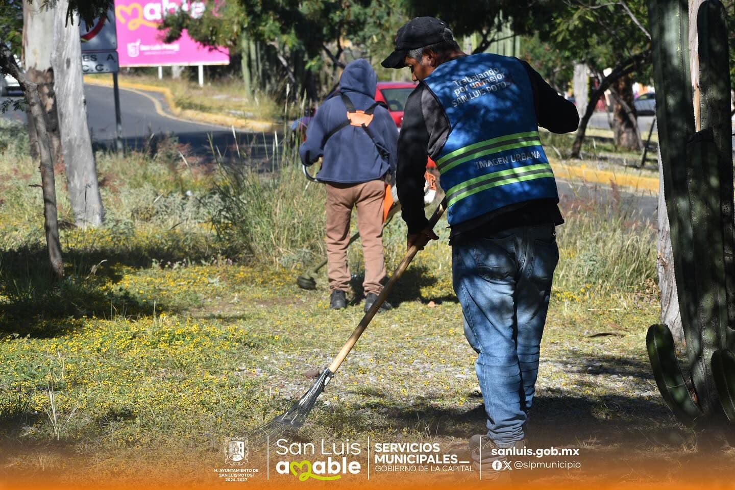 Mejora Ayuntamiento apariencia de parques y jardines de la capital
