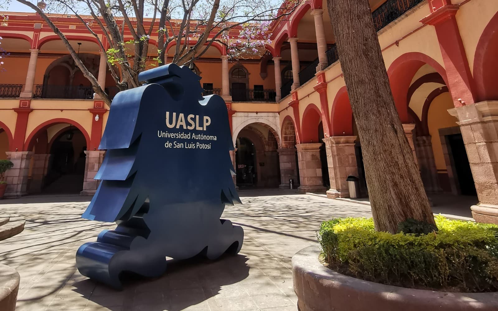 Reciben reconocimiento 5 investigadores de la UASLP en Premio Potosino de Ciencia 2024