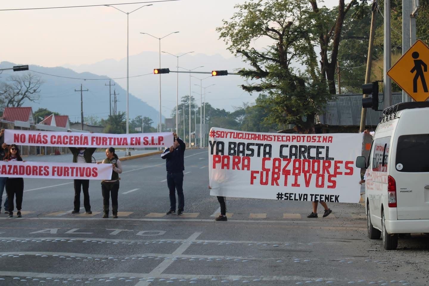 Activistas Exigen Protección para la Fauna Silvestre en la Huasteca Potosina