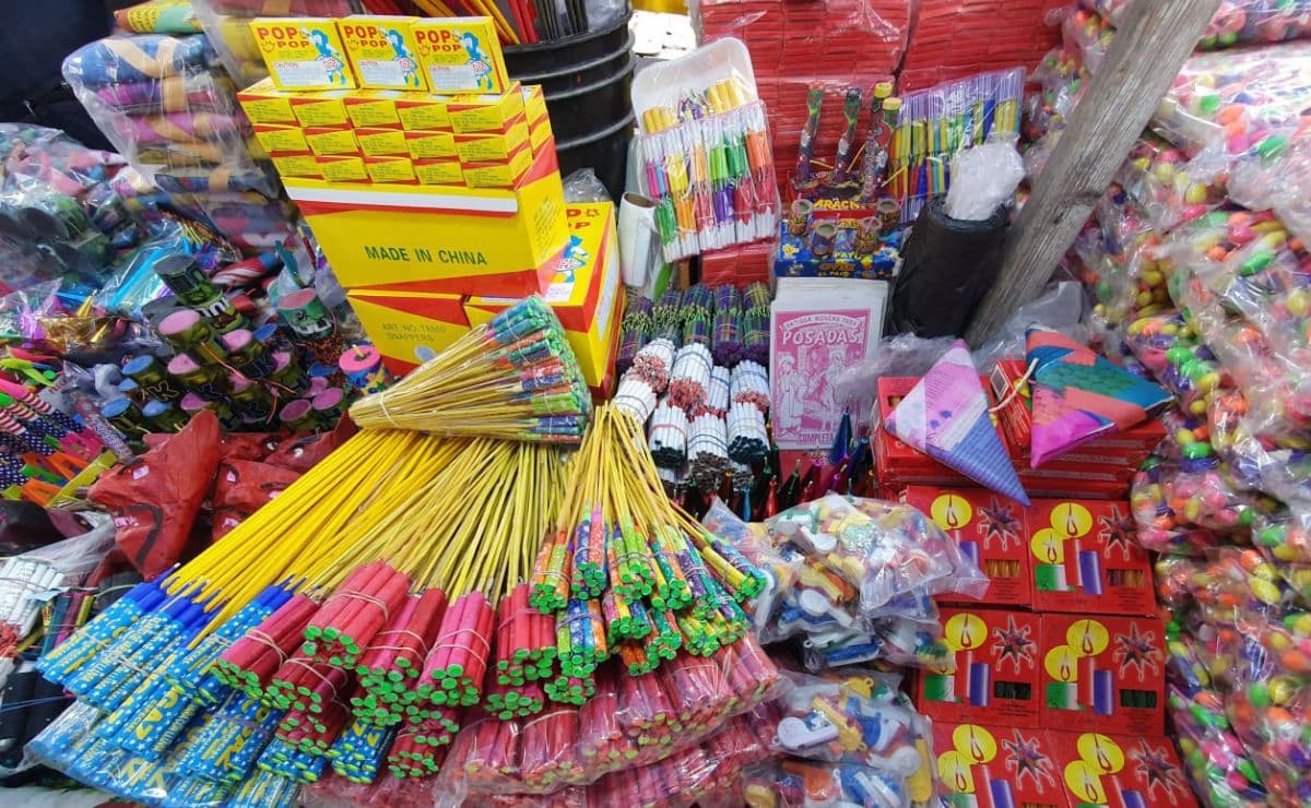 Propone Ayuntamiento prohibir pirotecnia para proteger a familias y mascotas