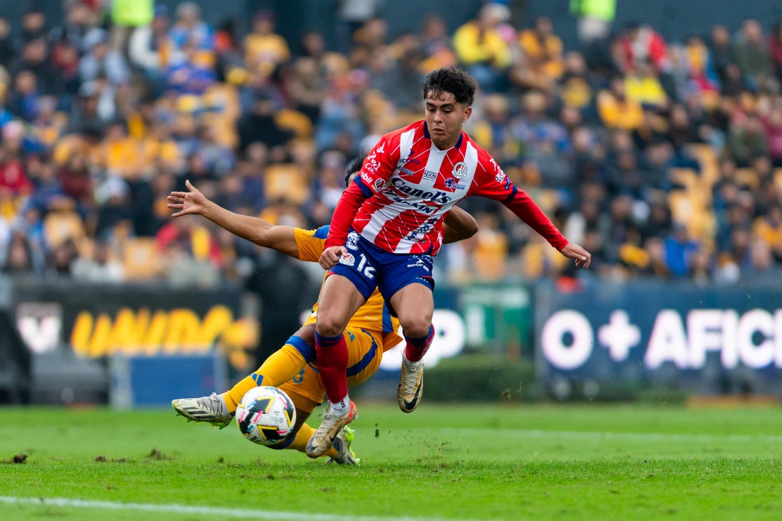 Atlético de San Luis, nuevo campeón de la Liga MX Sub-23