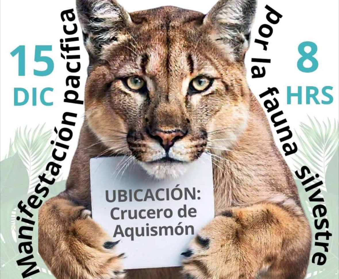 Organizan manifestación pacífica en la Huasteca en defensa de fauna silvestre