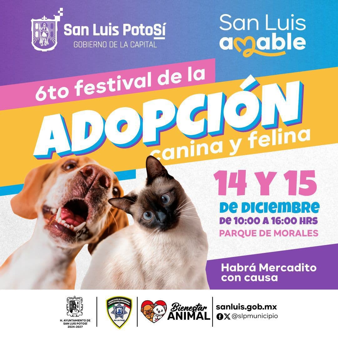 Promueven bienestar animal con Festival de Adopción en Morales