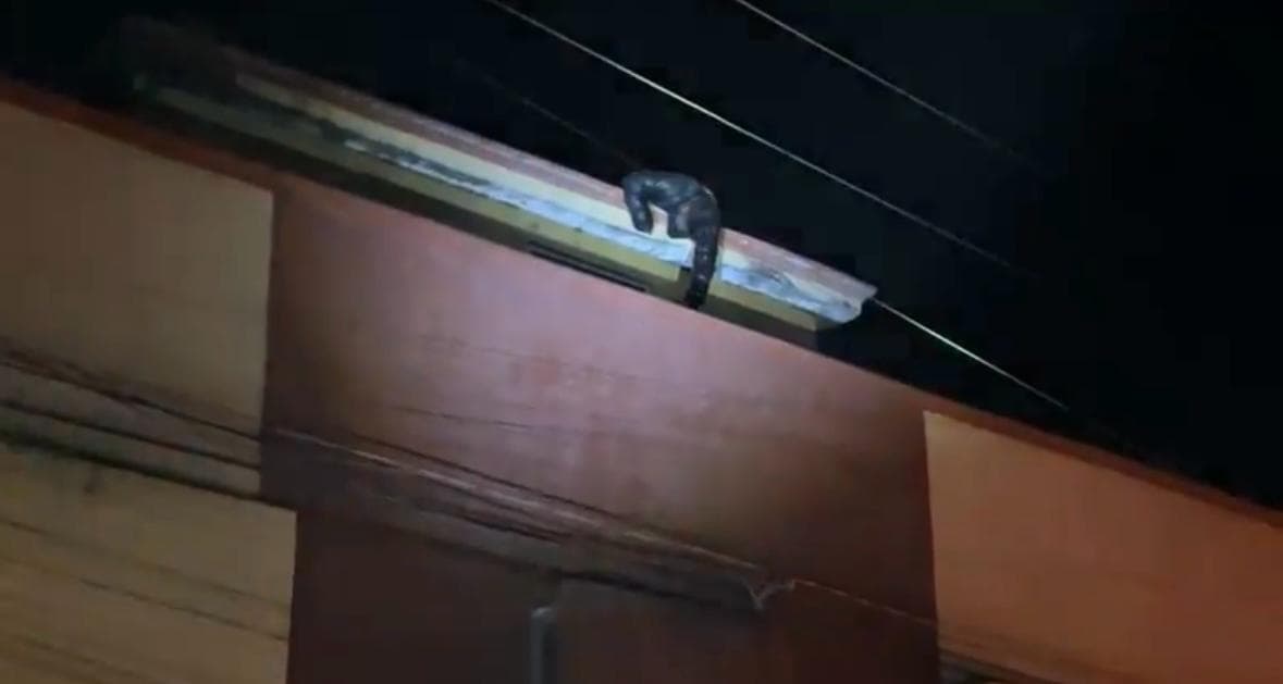 Joven muere electrocutado al tocar cables de la CFE en Rioverde