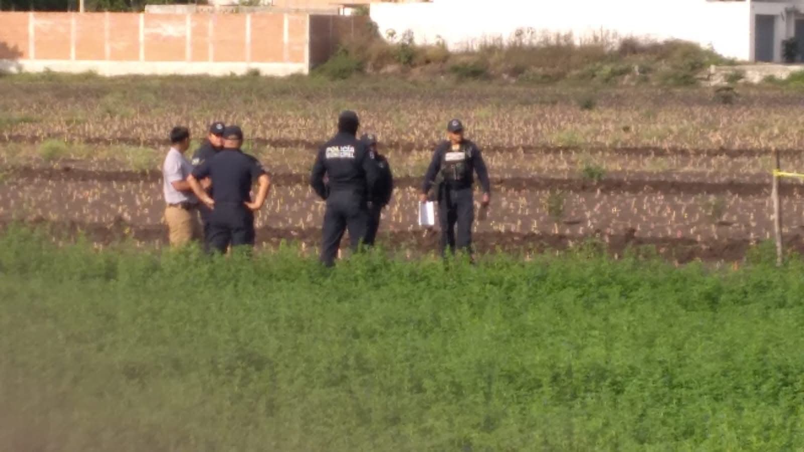 Localizan cuerpo sin vida de hombre en sembradío de Ciudad Fernández