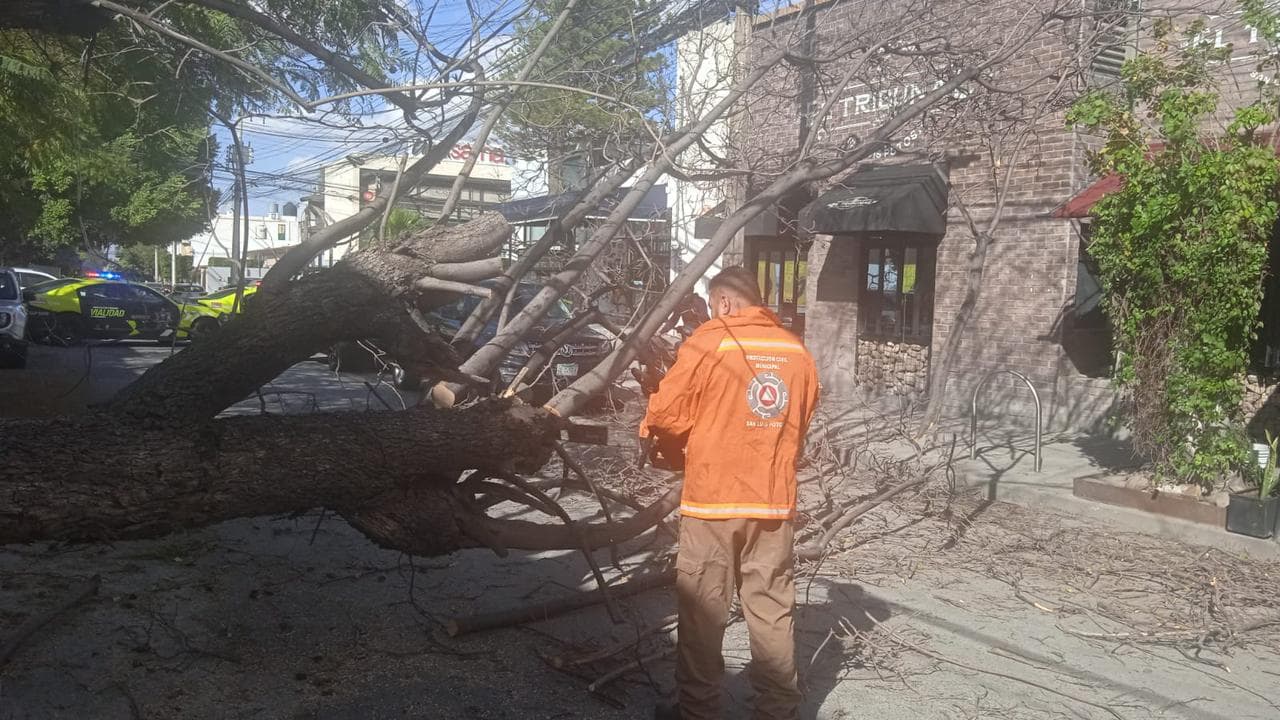 Gobierno de la Capital activa plan de emergencia ante fuertes vientos en San Luis Potosí