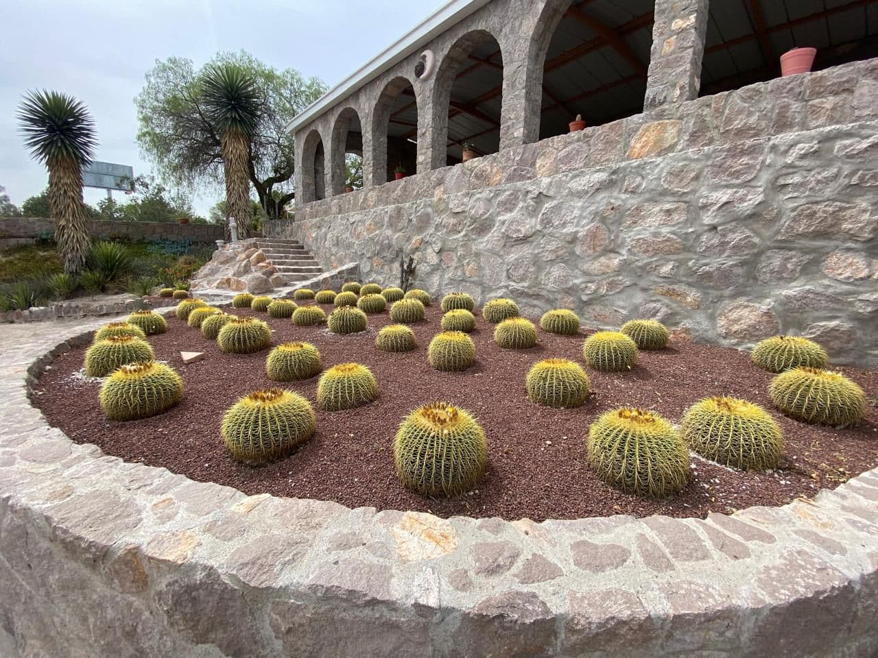 Jardín Botánico El Izotal de la UASLP promueve la conservación y la cultura botánica