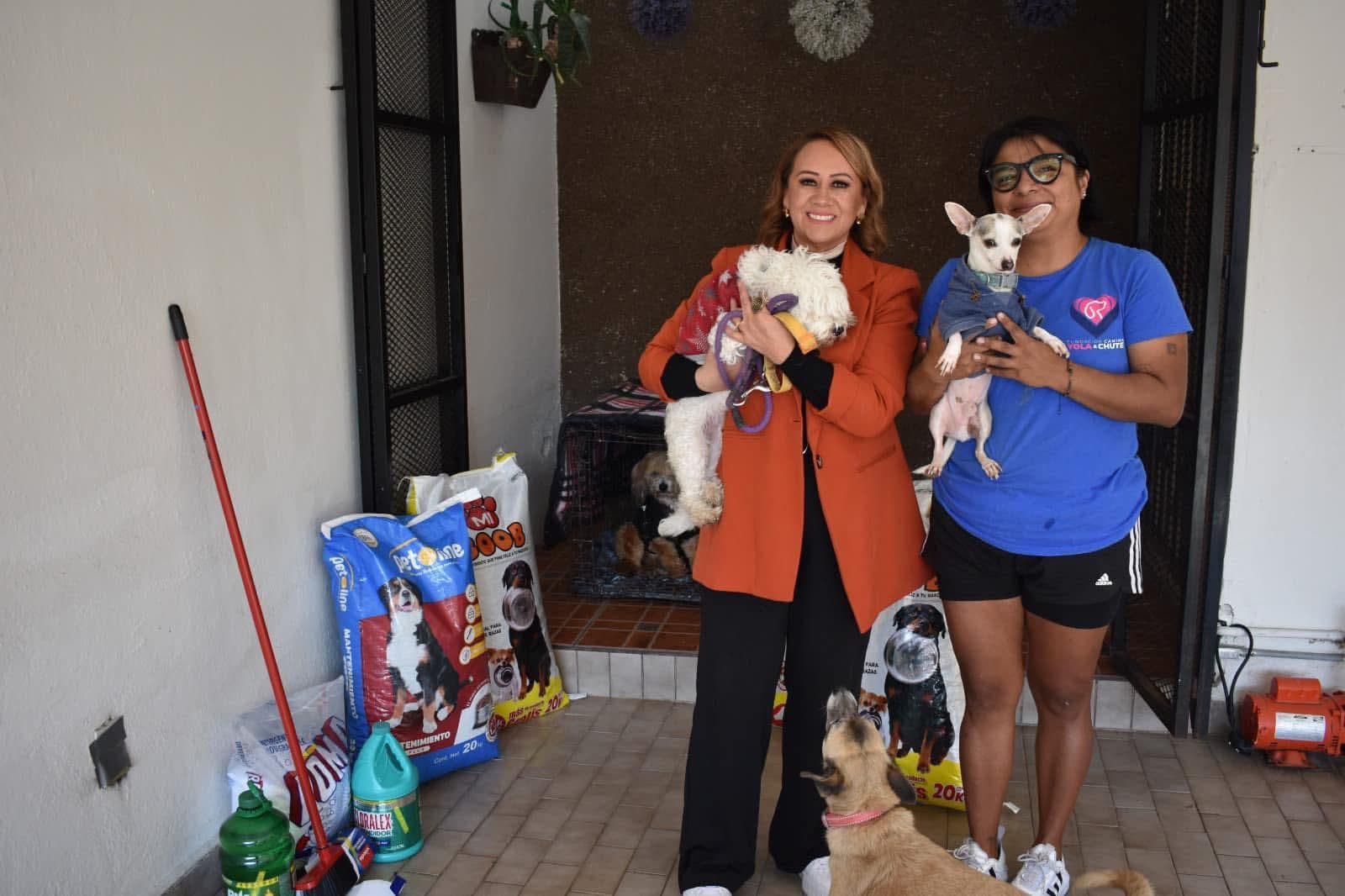 Perritos del albergue Yola&amp;Chute reciben su regalo de día de reyes