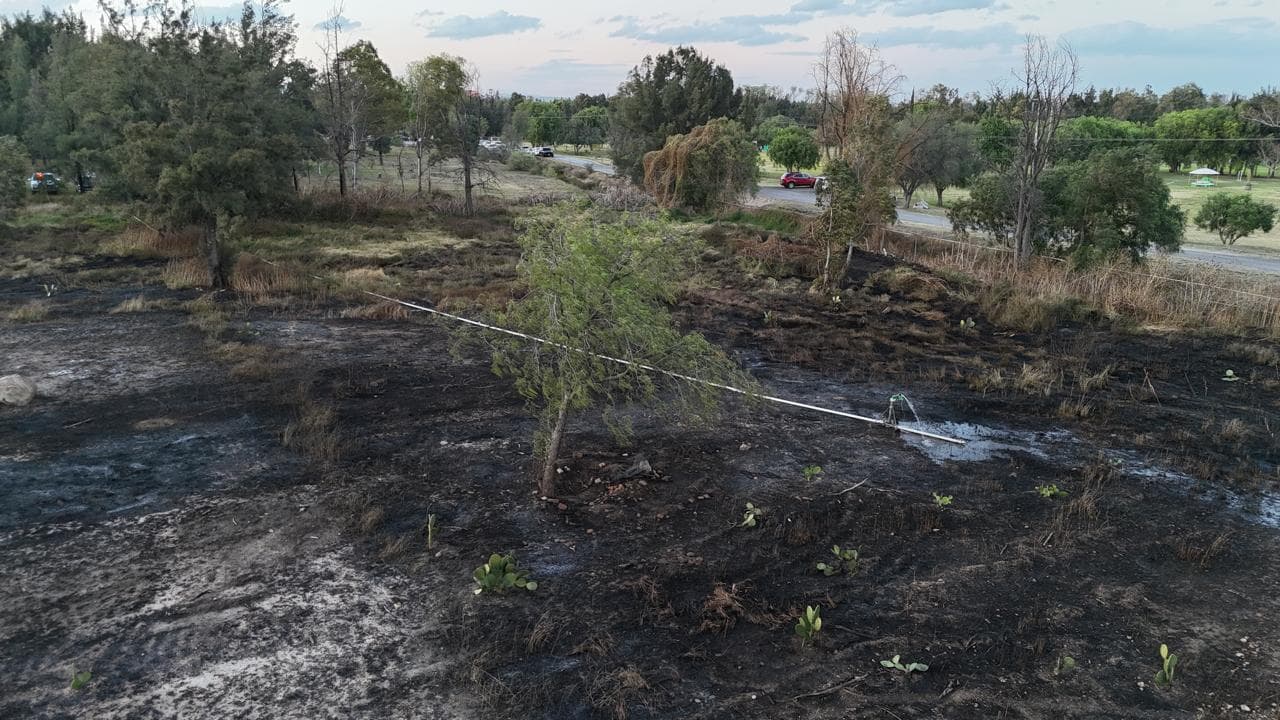Bomberos evitan tragedia en incendio en el Parque Tangamanga I