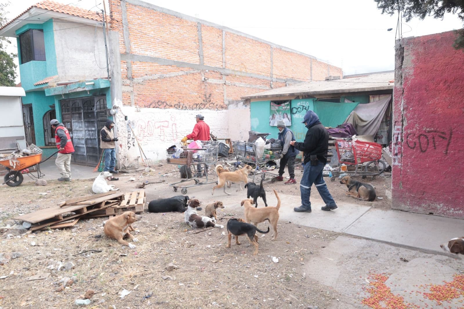 Intervención del DIF rescata a adulto mayor en condiciones insalubres