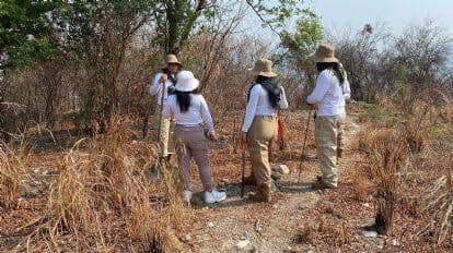 Reconoce Fiscalía del Estado tortuguismo ante hallazgo de fosa clandestina