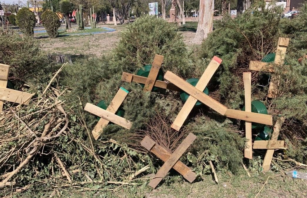 Ayuntamiento de la Capital invita a depositar árboles navideños en centros de acopio autorizados