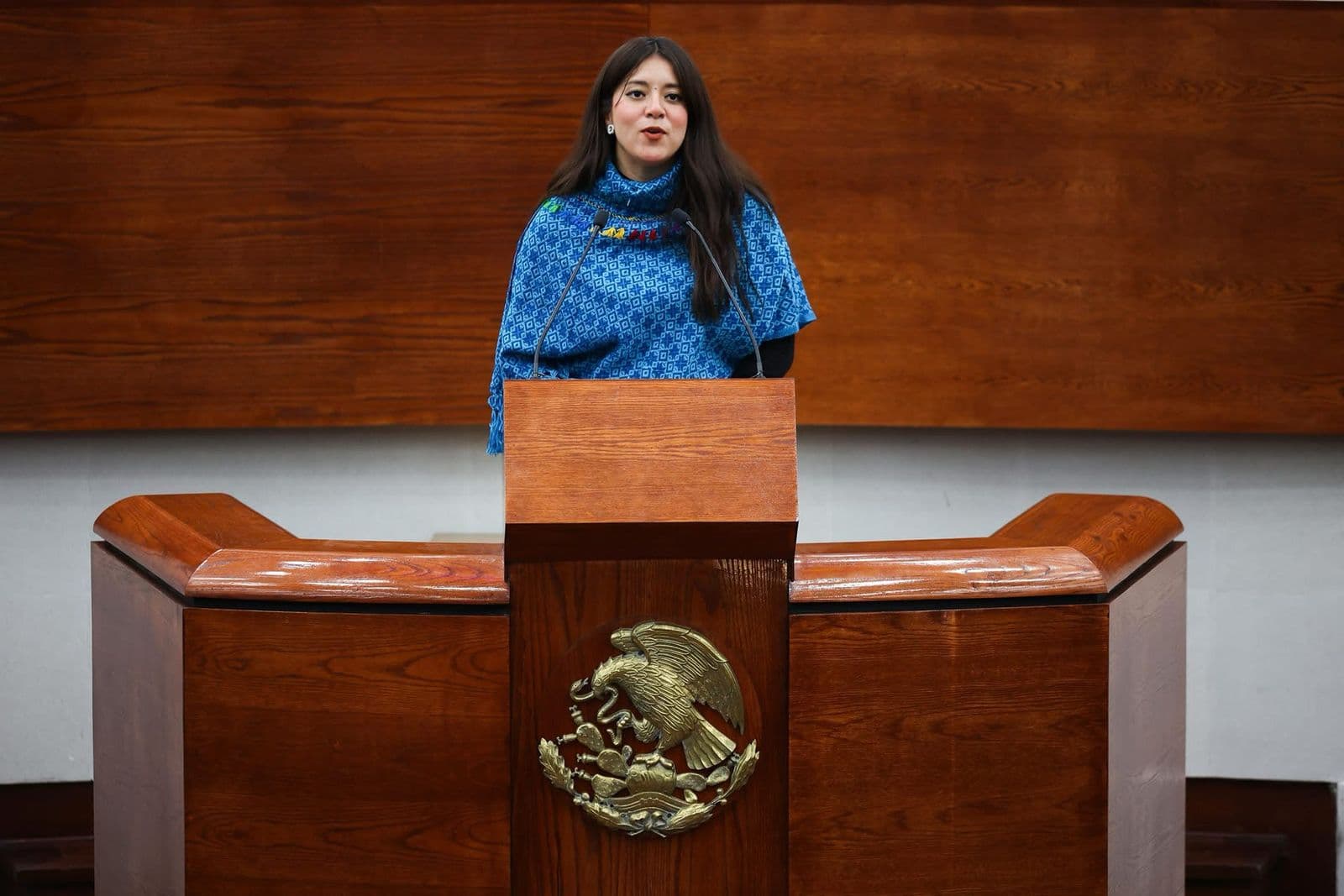 Diputada de Morena propone iniciativa Antinepotismo para San Luis Potosí