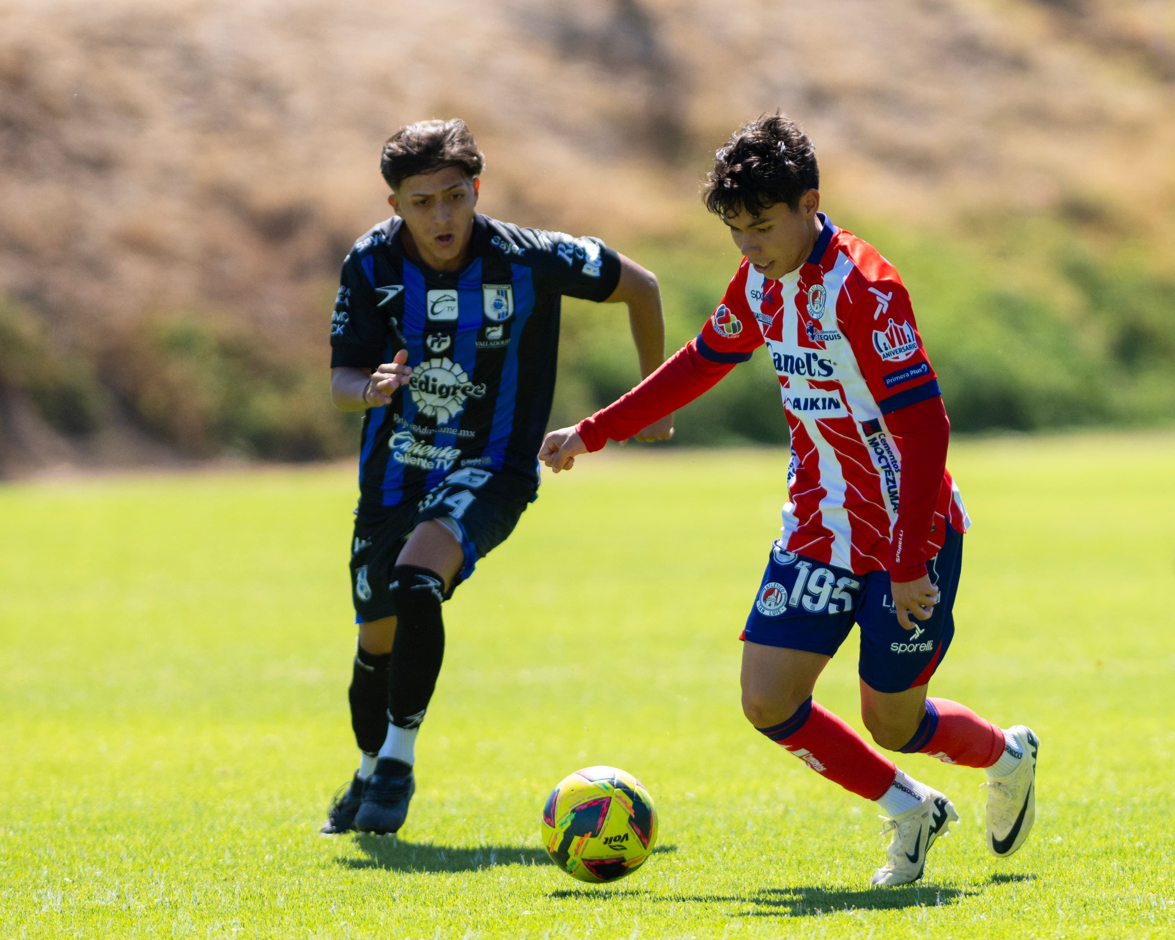 Atlético de San Luis Sub-19 y Querétaro protagonizan empate con seis goles