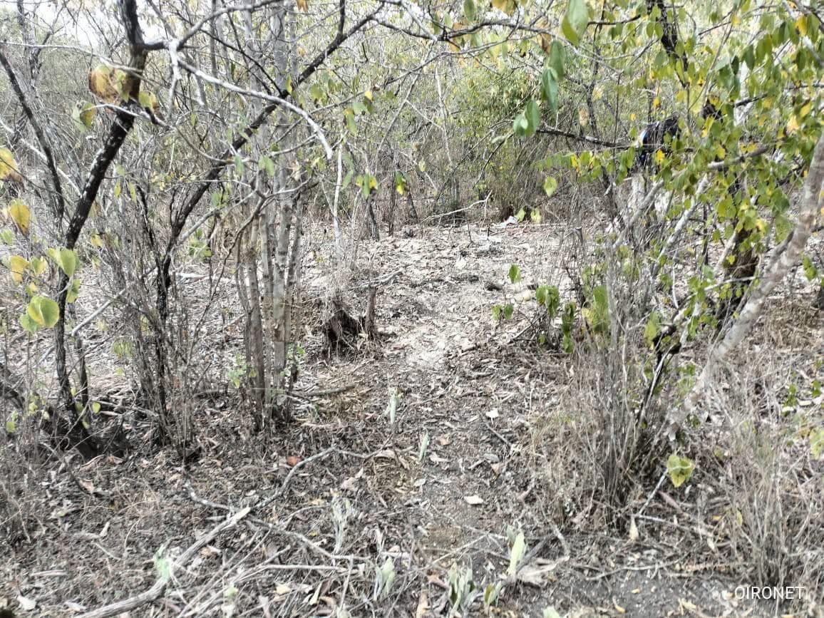 Van 7 fosas clandestinas localizadas en el municipio de Rioverde