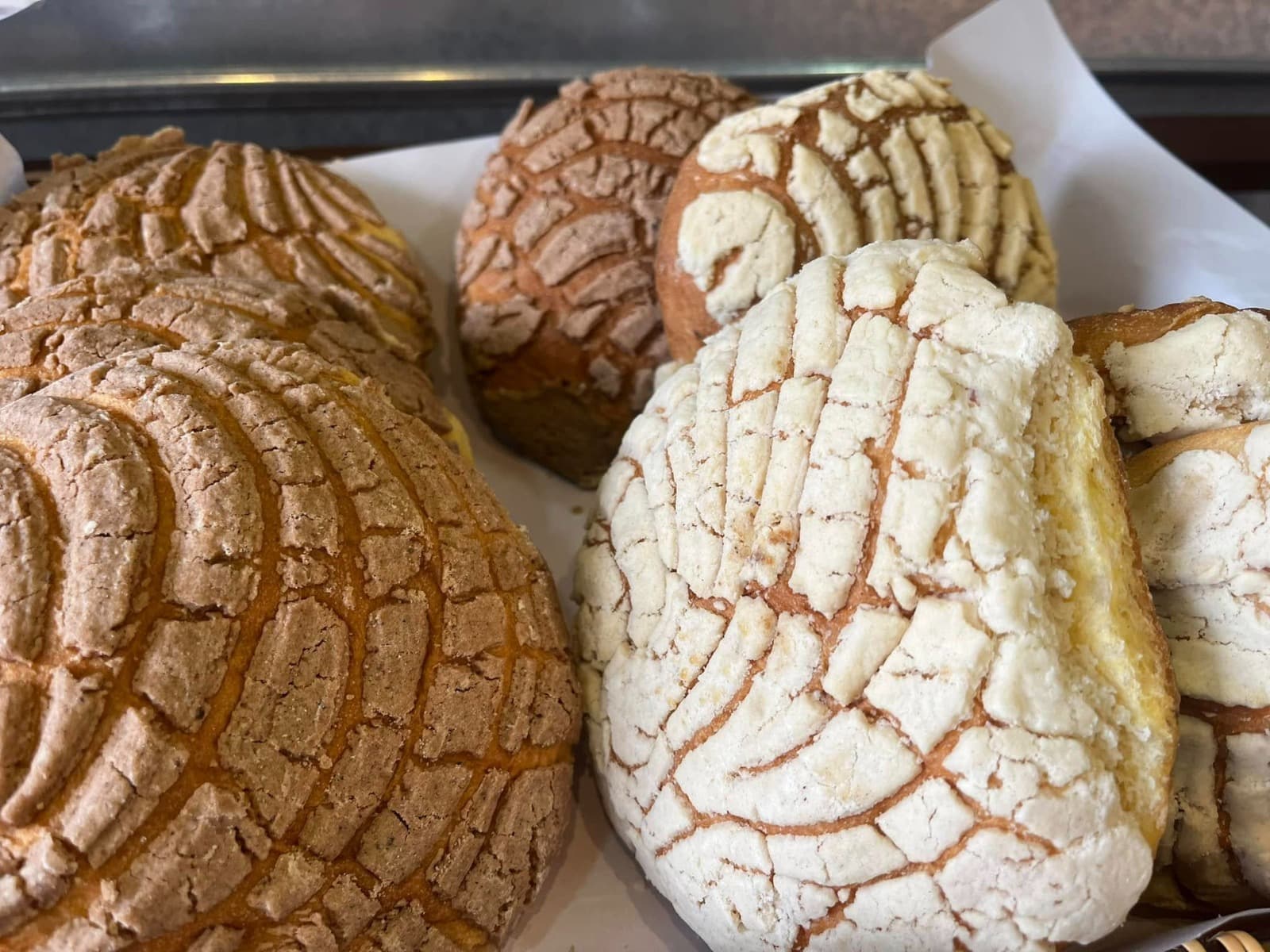 Aumentará un 8% el costo del pan dulce en SLP