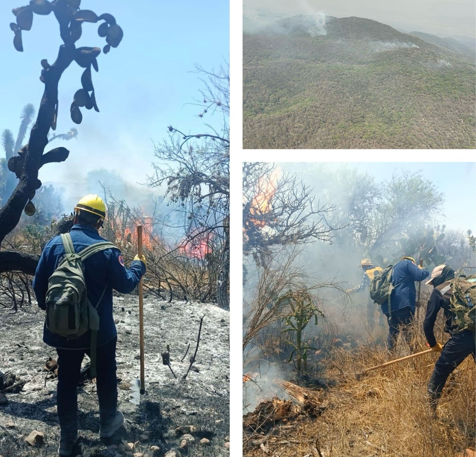SLP segundo estado más afectado por incendios forestales