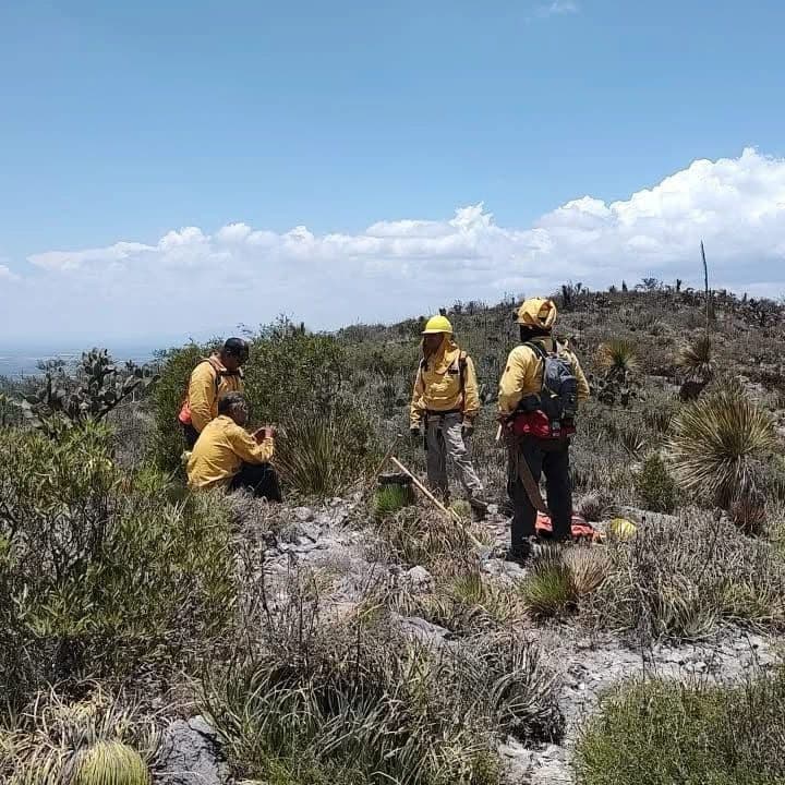 Falta de equipamiento pone en riesgo a brigadistas de Conafor